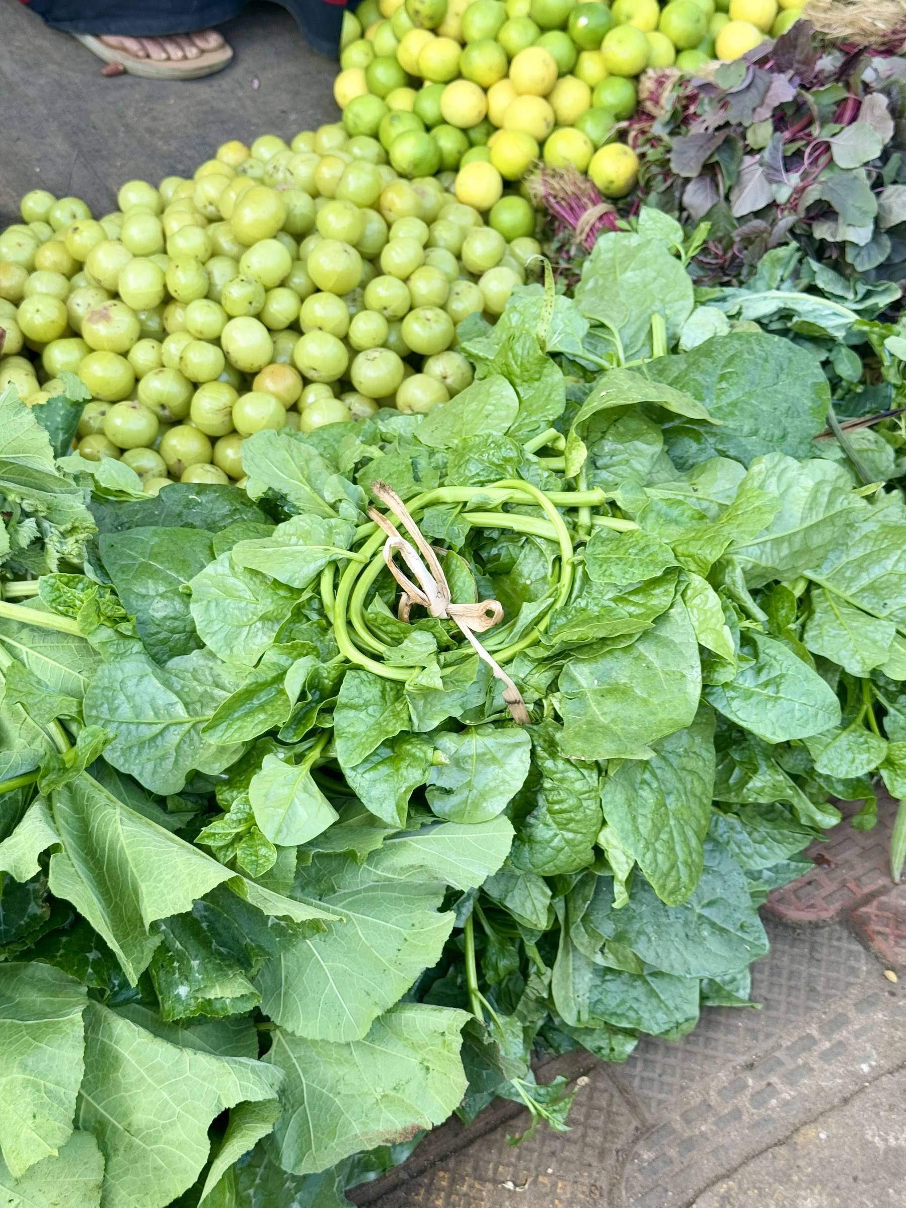 Fresh greens and produce at a coastal market